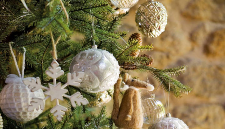 Escoge tu tipo de árbol de Navidad